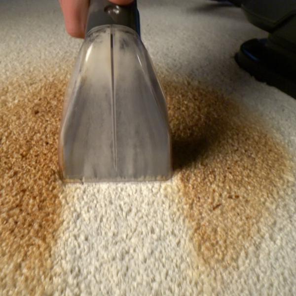 Livington Spot Blast aspiră eficient petele persistente dintr-un covor deschis la culoare.
